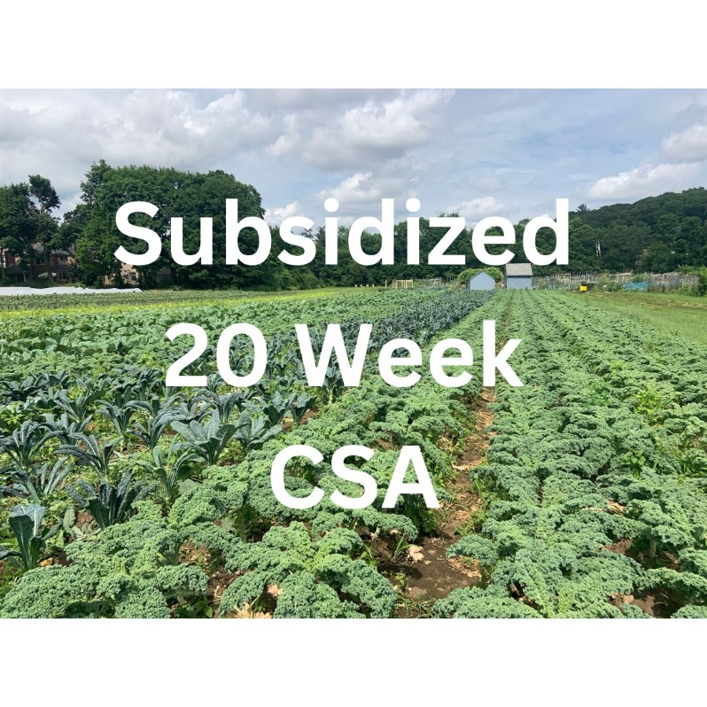 2024 Subsidized 20 Week Summer CSA Share