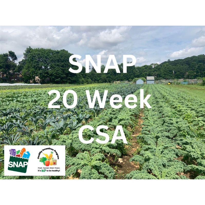 2024 SNAP 20 Week Summer CSA Share
