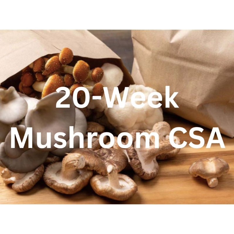 2024 20 Week Mushroom CSA Share