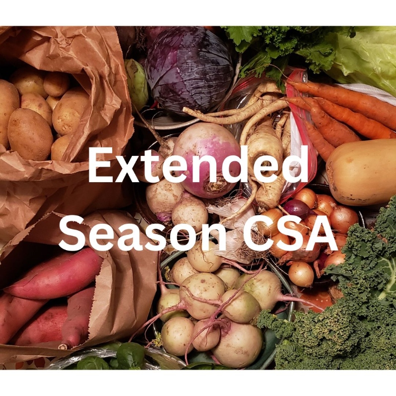 2024 Extended Season CSA Share
