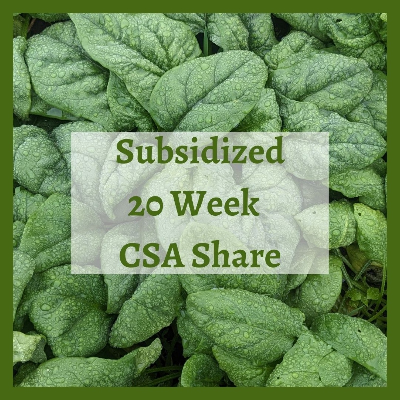 Product Description: Subsidized 20-Week Summer Share</br></br>As part of our Food Access mission, WFCF offers half-priced CSA shares to low income households. These shares are subsidized by our community, who donate to our “Food for All” program. We determine eligibility for these shares based on current USDA SNAP eligibility guidelines (you do not need to be currently enrolled in SNAP). Check if you qualify here. By purchasing this share, you self-identify as meeting the USDA SNAP eligibility guidelines.</br></br>Pick up seasonal vegetables once a week for 20 weeks from June-October! The share averages 8 items a week and reaches 10-12 items in peak season. Crops and quantity are determined by our farmers, but shareholders choose which items to take home each week, customizing their share to their own tastes and household needs. This share includes a selection of weekly pick-your-own crops including herbs, peppers, cherry tomatoes, tomatillos, beans, peas and more.</br></br>Share Dates: June 3 - October 24</br></br>Distribution Days & Times:</br></br>Wednesday 2:30-6:30pm</br></br>Thursday 2:30-6:30pm</br></br>Friday 2:30-6:30pm</br></br>Saturday 9:30-2:30pm</br></br>Payment: We ask that full payment be made upon registration. Please contact ana@communityfarms.org if WFCF can support an alternate payment plan with you.</br></br>Membership: We require ALL CSA households to be members of WFCF. If you are splitting a share with another family or individual, please make sure all memberships are up to date at the time of registration. For questions about membership status email jocelyn@communityfarms.org. View our membership page here.</br></br>CSA Cancellation Policy - If you would like to withdraw from the CSA at any time, a refund is contingent upon our ability to sell your reserved share. If a refund is given, a $35 administrative fee will be deducted. We cannot guarantee a refund, and are given at the discretion of WFCF.</br></br>If you can, please consider covering your transaction fees at check out</br></br>Why “Donor Covers Cost” is So Important</br></br>One of the fastest growing areas of expenses for our organizations are fees we incur for processing credit cards. In 2025, WFCF incurred more than $18,000 in credit card processing fees. By covering the cost of your transaction today, you are helping us to meet our operating costs, and to remain focused on our mission of cultivating sustainable and equitable relationships between people, their food supply, and the land from which it grows. Thank you for doing so.</br> 2026 Subsidized 20 Week Summer CSA Share