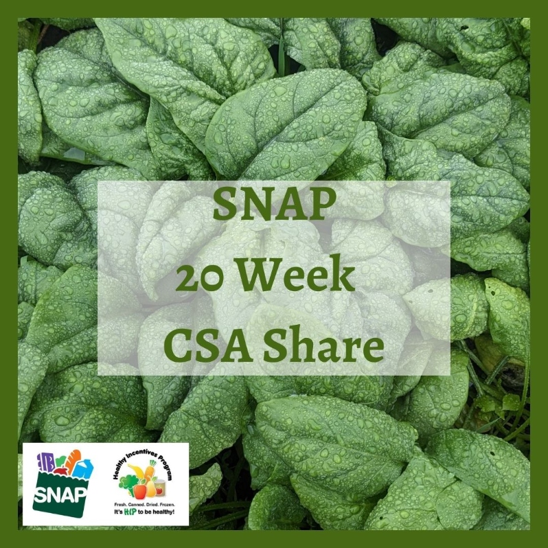 Product Description: SNAP 20-Week Summer Share | $432.50 ($86.50/month)</br></br>Use your SNAP benefits to pay for a half-priced 20-week CSA share. Through the SNAP CSA Pilot, payments to WFCF will be withdrawn automatically from your SNAP account each month, June - October. WFCF is a HIP vendor so you will also receive SNAP dollars immediately back on your card through this monthly transaction. There is no payment taken at checkout, by signing up for this share, you agree to pay $86.50/month from June - October with your SNAP benefits. WFCF will reach out to you after signing up to start this process.</br></br>Pick up seasonal vegetables once a week for 20 weeks from June-October! The share averages 8 items a week and reaches 10-12 items in peak season. Crops and quantity are determined by our farmers, but shareholders choose which items to take home each week, customizing their share to their own tastes and household needs. This share includes a selection of weekly pick-your-own crops including herbs, peppers, cherry tomatoes, tomatillos, beans, peas and more.</br></br>Share Dates: June 3 - October 24</br></br>Distribution Days & Times:</br></br>Wednesday 2:30-6:30pm</br></br>Thursday 2:30-6:30pm</br></br>Friday 2:30-6:30pm</br></br>Saturday 9:30-2:30pm</br></br>Payment: We ask that full payment be made upon registration. Please contact ana@communityfarms.org if WFCF can support an alternate payment plan with you.</br></br>Membership: We require ALL CSA households to be members of WFCF. If you are splitting a share with another family or individual, please make sure all memberships are up to date at the time of registration. For questions about membership status email jocelyn@communityfarms.org. View our membership page here.</br></br>CSA Cancellation Policy - In the event that you would like to withdraw from the SNAP CSA, please contact ana@communityfarms.org to request a cancellation form.</br></br>If you can, please consider covering your transaction fees at check out</br></br>Why “Donor Covers Cost” is So Important</br></br>One of the fastest growing areas of expenses for our organizations are fees we incur for processing credit cards. In 2025, WFCF incurred more than $18,000 in credit card processing fees. By covering the cost of your transaction today, you are helping us to meet our operating costs, and to remain focused on our mission of cultivating sustainable and equitable relationships between people, their food supply, and the land from which it grows. Thank you for doing so.</br> 2026 SNAP 20-Week Summer CSA Share