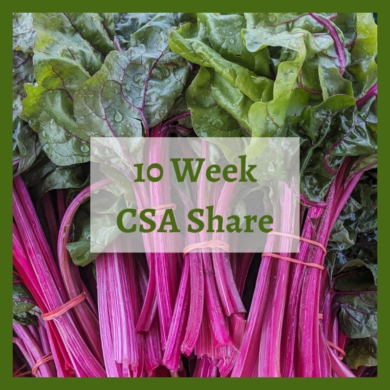 Product Description: 10-Week Summer Share</br></br>Pick up seasonal vegetables every other week for 10 weeks from June-October. During pick up, the crop selection and quantity will be the same as the 20-week share, but you will have two weeks to use your bounty! This share is designed for households of 2-3 who still consume a lot of veggies. This is a half share,which grows over the course of the season, averaging 8 items, and reaching 10-12 items in peak season. Crops and quantity are determined by our farmers, but shareholders choose which items to take home each week, customizing their share to their own tastes and household needs. </br></br>This share includes a selection of weekly pick-your-own crops including herbs, peppers, cherry tomatoes, tomatillos, beans, peas and more.</br></br>ODD Share Dates: June 6 - October 14</br></br>EVEN Share Dates: June 10 - October 24</br></br>Full 10-Week Schedule</br></br>DistributionDays & Times:</br></br>Wednesday 2:30-6:30pm</br></br>Thursday 2:30-6:30pm</br></br>Friday 2:30-6:30pm</br></br>Saturday 9:30-2:30pm</br></br>Payment: We ask that full payment be made upon registration. Please contact ana@communityfarms.org if WFCF can support an alternate payment plan with you.</br></br>Membership: We require ALL CSA households to be members of WFCF. If you are splitting a share with another family or individual, please make sure all memberships are up to date at the time of registration. For questions about membership status email jocelyn@communityfarms.org. View our membership page here.</br></br>CSA Cancellation Policy:If you would like to withdraw from the CSA at any time, a refund is contingent upon our ability to sell your reserved share. If a refund is given, a $35 administrative fee will be deducted. We cannot guarantee a refund, and are given at the discretion of WFCF.</br></br>If you can, please consider covering your transaction fees at check out</br></br>Why “Donor Covers Cost” is So Important</br></br>One of the fastest growing areas of expenses for our organizations are fees we incur for processing credit cards. In 2025, WFCF incurred more than $18,000 in credit card processing fees. By covering the cost of your transaction today, you are helping us to meet our operating costs, and to remain focused on our mission of cultivating sustainable and equitable relationships between people, their food supply, and the land from which it grows. Thank you for doing so.</br> 2026 10 Week Summer CSA Share