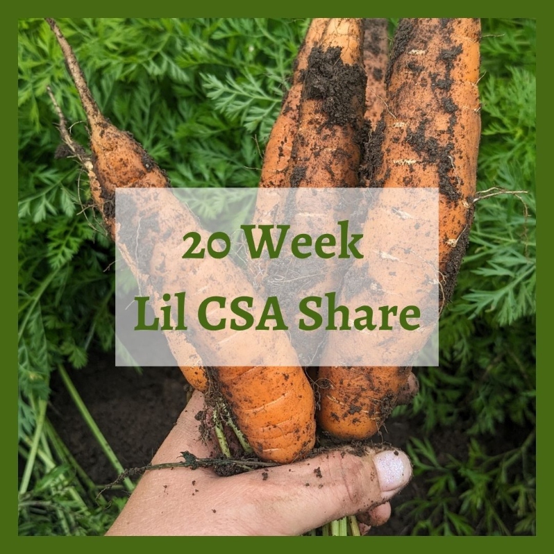 Product Description: 20-week Lil Summer Share</br></br>Pick up seasonal vegetables once a week for 20 weeks from June-October! This share is smaller than both our regular 10 & 20 week shares and is designed for smaller families, couples, individuals, or first-time CSA-ers looking for a lil weekly produce. This share will grow over the course of the season, shareholders will pick up an average of 5-7 items each week from June - October (about ⅔ of our regular 20 week share). Crops and quantity are determined by our farmers, but shareholders choose which items to take home each week, customizing their share to their own tastes and household needs. </br></br>This share includes a selection of weekly pick-your-own crops including herbs, peppers, cherry tomatoes, tomatillos, beans, peas and more.</br></br>Share Dates: June 3- October 24</br></br>Distribution Days & Times:</br></br>Wednesday 2:30-6:30pm</br></br>Thursday 2:30-6:30pm</br></br>Friday 2:30-6:30pm</br></br>Saturday 9:30-2:30pm</br></br>Payment: We ask that full payment be made upon registration. Please contact ana@communityfarms.org if WFCF can support an alternate payment plan with you.</br></br>Membership: We require ALL CSA households to be members of WFCF. If you are splitting a share with another family or individual, please make sure all memberships are up to date at the time of registration. For questions about membership status email jocelyn@communityfarms.org. View our membership page here.</br></br>CSA Cancellation Policy:If you would like to withdraw from the CSA at any time, a refund is contingent upon our ability to sell your reserved share. If a refund is given, a $35 administrative fee will be deducted. We cannot guarantee a refund, and are given at the discretion of WFCF.</br></br>If you can, please consider covering your transaction fees at check out</br></br>Why “Donor Covers Cost” is So Important</br></br>One of the fastest growing areas of expenses for our organizations are fees we incur for processing credit cards. In 2025, WFCF incurred more than $18,000 in credit card processing fees. By covering the cost of your transaction today, you are helping us to meet our operating costs, and to remain focused on our mission of cultivating sustainable and equitable relationships between people, their food supply, and the land from which it grows. Thank you for doing so.</br> 2026 20 Week Lil Summer CSA
