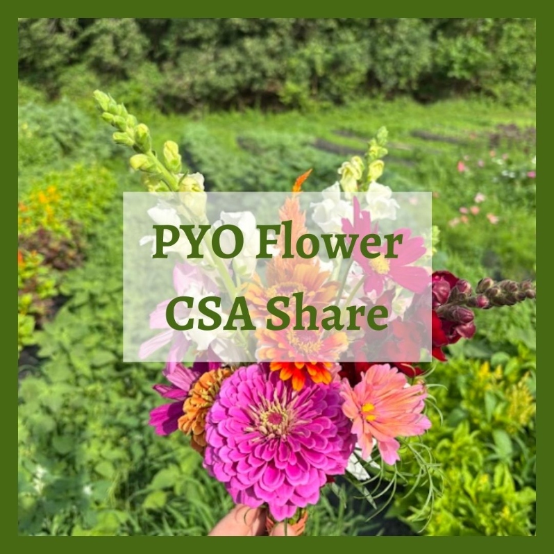 Product Description: PYO Flower Share($140 + 6.25% sales tax)</br></br>This pick-your-own share begins in mid-July. Flower shareholders pick 30 stems a week for 10 weeks in our designated flower fields. Shareholders can expect a diverse offering of cut flower varieties, including zinnias, cosmos, sunflowers, strawflower, gomphrena, snapdragons and more! We aim to offer a strong mix of flowers that can be enjoyed both fresh & dried.</br></br>Share Dates: mid-July - mid-September</br></br>Distribution Days & Times: Once the share has started, flower shareholders can harvest their shares any day during daylight hours.</br></br>Payment: We ask that full payment be made upon registration. Please contact ana@communityfarms.org if WFCF can support an alternate payment plan with you.</br></br>Membership: We require ALL CSA households to be members of WFCF. If you are splitting a share with another family or individual, please make sure all memberships are up to date at the time of registration. For questions about membership status email jocelyn@communityfarms.org. View our membership page here.</br></br>CSA Cancellation Policy:If you would like to withdraw from the CSA at any time, a refund is contingent upon our ability to sell your reserved share. If a refund is given, a $35 administrative fee will be deducted. We cannot guarantee a refund, and are given at the discretion of WFCF.</br></br>If you can, please consider covering your transaction fees at check out</br></br>Why “Donor Covers Cost” is So Important</br></br>One of the fastest growing areas of expenses for our organizations are fees we incur for processing credit cards. In 2025, WFCF incurred more than $18,000 in credit card processing fees. By covering the cost of your transaction today, you are helping us to meet our operating costs, and to remain focused on our mission of cultivating sustainable and equitable relationships between people, their food supply, and the land from which it grows. Thank you for doing so.</br> 2026 PYO Flower Share