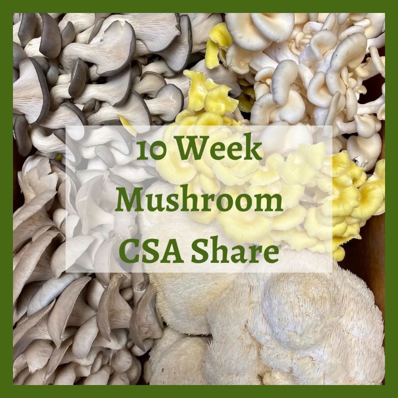 Product Description: 10 Week Early Season Mushroom Share (June - August)</br></br>WFCF is excited to partner withMcGuires Mushroomsto offer seasonal Mushroom Shares. Enjoy 10 weeks of gourmet mushrooms from June - August. Grown in Hingham, MA, each of theirgrow blocks is made in-house, using 100% non-GMO ingredients and no chemicals, glyphosate, or artificial additives. Each weekly share will include one pound of fresh mushrooms; the varieties change weekly based on availability and can include: Shiitake, Oyster, King Trumpet, Lion’s Mane, Chestnut, and Pioppino.</br></br>10 week Early Season Dates:June 3 - August 12 / no pick up July 1-4</br></br>DistributionDays & Times:</br></br>Wednesday 2:30-6:30pm</br></br>Thursday 2:30-6:30pm</br></br>Friday 2:30-6:30pm</br></br>Saturday 9:30-2:30pm</br></br>Payment:We ask that full payment be made upon registration. Please contact ana@communityfarms.org if WFCF can support an alternate payment plan with you.</br></br>Membership:We require ALL CSA households to be members of WFCF. If you are splitting a share with another family or individual, please make sure all memberships are up to date at the time of registration. For questions about membership status email jocelyn@communityfarms.org.View our membership page here.</br></br>CSA Cancellation Policy:If you would like to withdraw from the CSA at any time, a refund is contingent upon our ability to sell your reserved share. If a refund is given, a $35 administrative fee will be deducted. We cannot guarantee a refund, and are given at the discretion of WFCF.</br></br>If you can, please consider covering your transaction fees at check out</br></br>Why “Donor Covers Cost” is So Important</br></br>One of the fastest growing areas of expenses for our organizations are fees we incur for processing credit cards. In 2025, WFCF incurred more than $18,000 in credit card processing fees. By covering the cost of your transaction today, you are helping us to meet our operating costs, and to remain focused on our mission of cultivating sustainable and equitable relationships between people, their food supply, and the land from which it grows. Thank you for doing so.</br> 2026 10 Week Early Season Mushroom CSA Share