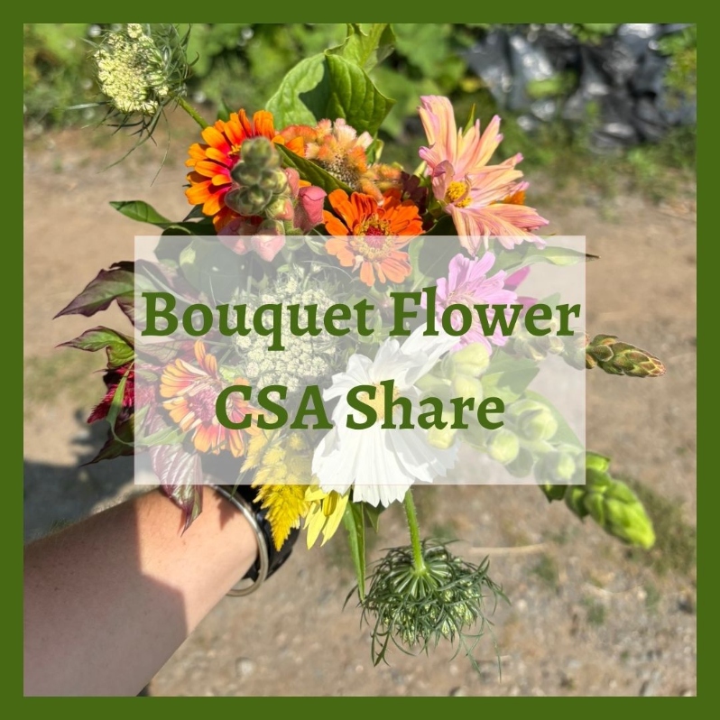 Product Description: New! Bouquet Flower Share ($225 + 6.25% sales tax)</br></br>Pick up a freshly made bouquet from the farm every week for 10 weeks, beginning mid-July. Expect a diverse offering of cut flower varieties curated into a beautiful bouquet to brighten up your home. Pick up your bouquet at the Farm Stand.</br></br>Pick Up Days & Times:</br></br>Wednesday 2:30-6:30pm</br></br>Thursday 2:30-6:30pm</br></br>Friday 2:30-6:30pm</br></br>Saturday 9:30-2:30pm</br></br>Payment: We ask that full payment be made upon registration. Please contact ana@communityfarms.org if WFCF can support an alternate payment plan with you.</br></br>Membership: We require ALL CSA households to be members of WFCF. If you are splitting a share with another family or individual, please make sure all memberships are up to date at the time of registration. For questions about membership status email jocelyn@communityfarms.org. View our membership page here.</br></br>CSA Cancellation Policy:If you would like to withdraw from the CSA at any time, a refund is contingent upon our ability to sell your reserved share. If a refund is given, a $35 administrative fee will be deducted. We cannot guarantee a refund, and are given at the discretion of WFCF. Please contact - ana@communityfarms.org to inquire about registration cancellation.</br></br>If you can, please consider covering your transaction fees at check out</br></br>Why “Donor Covers Cost” is So Important</br></br>One of the fastest growing areas of expenses for our organizations are fees we incur for processing credit cards. In 2024, WFCF incurred more than $22,000 in credit card processing fees. By covering the cost of your transaction today, you are helping us to meet our operating costs, and to remain focused on our mission of cultivating sustainable and equitable relationships between people, their food supply, and the land from which it grows. Thank you for doing so.</br> NEW! 2026 Bouquet Flower Share