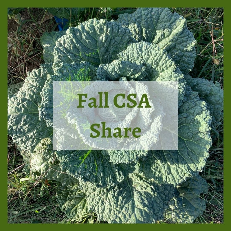 Product Description: Fall CSA Share </br></br>Pick up a bounty of fall and winter favorites, includingspinach, kale, bok choy, cabbage, onions, leeks, carrots, celery, beets, turnips, potatoes, sweet potatoes, parsnips, scallions, radishes, winter squashand more!You can expect around 60% of the share to be storage veggies (e.g. potatoes, winter squash) and 40% to be winter greens (e.g. spinach, kale).</br></br>We think of these shares as “storage shares” because they are tailored to see you into the cold months of winter. These shares are a delicious way to celebrate the late season harvest and offer a bountiful Thanksgiving feast from your local farm! Each of the 3 CSA pick ups averages about 35 pounds of produce, it is larger than a weekly summer share.This share was previously called our "Extended Season Share".</br></br>Distribution Days & Times:</br></br>Saturday Nov 7th | 10am-2pm</br></br>Saturday Nov 21st | 10am-2pm</br></br>Saturday Dec 5th | 10am-2pm</br></br>Payment:We ask that full payment be made upon registration. Please contactana@communityfarms.orgif WFCF can support an alternate payment plan with you.</br></br>Membership:We require ALL CSA households to be members of WFCF. If you are splitting a share with another family or individual, please make sure all memberships are up to date at the time of registration. For questions about membership status emailhannah@communityfarms.org.View our membership page here.</br></br>CSA Cancellation Policy -If you would like to withdraw from the CSA at any time, a refund is contingent upon our ability to sell your reserved share. If a refund is given, a $35 administrative fee will be deducted. We cannot guarantee a refund, and are given at the discretion of WFCF. Please contact -ana@communityfarms.orgto inquire about registration cancellation.</br></br>If you can, please consider covering your transaction fees at check out</br></br>Why “Donor Covers Cost” is So Important</br></br>One of the fastest growing areas of expenses for our organizations are fees we incur for processing credit cards. In 2024, WFCF incurred more than $22,000 in credit card processing fees.</br></br>By covering the cost of your transaction today, you are helping us to meet our operating costs, and to remain focused on our mission of cultivating sustainable and equitable relationships between people, their food supply, and the land from which it grows. Thank you for doing so</br> 2026 Fall CSA