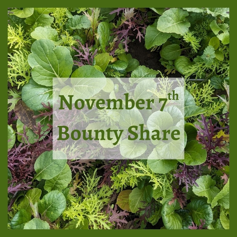 Product Description: Bounty Share | Saturday, November 7th</br></br>Pick up one CSA share offall and winter favorites. Pick up about 35lbs of produce and expect about 60% storage & root crops and 40% greens.</br></br>Our best guess of what you can expect to receive at this pick up- arugula, beets, broccolini, bok choy, broccoli raab, carrots, kale, loose greens, kohlrabi, lettuce, potato, onions, daikon radish, watermelon radish, tatsoi, scallions, spinach, swiss chard, salad turnips, winter squash</br></br>Distribution Date:</br></br>Saturday, November 7th | 10am-2pm</br></br>Payment:We ask that full payment be made upon registration. Please contactana@communityfarms.orgif WFCF can support an alternate payment plan with you.</br></br>Membership:We require ALL CSA households to be members of WFCF. If you are splitting a share with another family or individual, please make sure all memberships are up to date at the time of registration. For questions about membership status emailhannah@communityfarms.org.View our membership page here.</br></br>CSA Cancellation Policy:If you would like to withdraw from the CSA at any time, a refund is contingent upon our ability to sell your reserved share. If a refund is given, a $35 administrative fee will be deducted. We cannot guarantee a refund, and are given at the discretion of WFCF. Please contact -ana@communityfarms.orgto inquire about registration cancellation.</br></br>If you can, please consider covering your transaction fees at check out</br></br>Why “Donor Covers Cost” is So Important</br></br>One of the fastest growing areas of expenses for our organizations are fees we incur for processing credit cards. In 2024, WFCF incurred more than $22,000 in credit card processing fees.</br></br>By covering the cost of your transaction today, you are helping us to meet our operating costs, and to remain focused on our mission of cultivating sustainable and equitable relationships between people, their food supply, and the land from which it grows. Thank you for doing so</br> November 7th Bounty Share