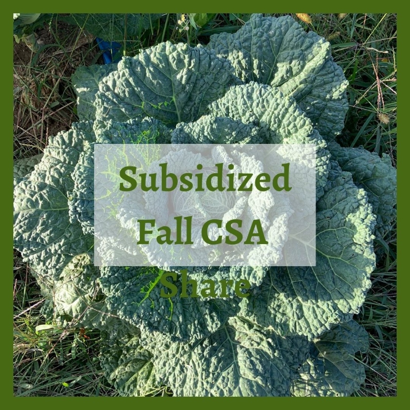 Product Description: Subsidized Fall CSA Share</br></br>As part of our Food Access mission, WFCF offers half-priced CSA shares to low income households. These shares are subsidized by our community, who donate to our “Food for All” program. We determine eligibility for these shares based on currentUSDA SNAP eligibility guidelines(you do not need to be currently enrolled in SNAP).Check if you qualify here. By purchasing this share, you self-identify as meeting the USDA SNAP eligibility guidelines.</br></br>Pick up a bounty of fall and winter favorites, includingspinach, kale, bok choy, cabbage, onions, leeks, carrots, celery, beets, turnips, potatoes, sweet potatoes, parsnips, scallions, radishes, winter squashand more!You can expect around 60% of the share to be storage veggies (e.g. potatoes, winter squash) and 40% to be winter greens (e.g. spinach, kale).</br></br>We think of these shares as “storage shares” because they are tailored to see you into the cold months of winter. These shares are a delicious way to celebrate the late season harvest and offer a bountiful Thanksgiving feast from your local farm! Each of the 3 CSA pick ups averages about 35 pounds of produce, it is larger than a weekly summer share.This share was previously called our "Extended Season Share".</br></br>Pick Up Days & Times:</br></br>Saturday Nov 7th | 10am-2pm</br></br>Saturday Nov 21st |10am-2pm</br></br>Saturday Dec 5th | 10am-2pm</br></br>Payment:We ask that full payment be made upon registration. Please contactana@communityfarms.orgif WFCF can support an alternate payment plan with you.</br></br>Membership:We require ALL CSA households to be members of WFCF. If you are splitting a share with another family or individual, please make sure all memberships are up to date at the time of registration. For questions about membership status emailtrish@communityfarms.org.View our membership page here.</br></br>CSA Cancellation Policy:If you would like to withdraw from the CSA at any time, a refund is contingent upon our ability to sell your reserved share. If a refund is given, a $35 administrative fee will be deducted. We cannot guarantee a refund, and are given at the discretion of WFCF. Please contact -ana@communityfarms.orgto inquire about registration cancellation.</br></br>If you can, please consider covering your transaction fees at check out</br></br>Why “Donor Covers Cost” is So Important</br></br>One of the fastest growing areas of expenses for our organizations are fees we incur for processing credit cards. In 2024, WFCF incurred more than $22,000 in credit card processing fees.</br></br>By covering the cost of your transaction today, you are helping us to meet our operating costs, and to remain focused on our mission of cultivating sustainable and equitable relationships between people, their food supply, and the land from which it grows. Thank you for doing so.</br> 2026 Subsidized Fall CSA Share