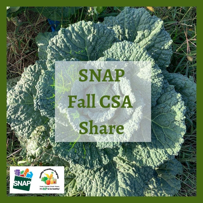 Product Description: SNAP Fall CSA Share</br></br>Use your SNAP benefits to pay for a half-priced Fall CSA share.There is no payment taken at checkout, by signing up for this share, you agree to communicate with WFCF to set up the payment schedule. WFCF is a HIP vendor, which means you will receive up to $60 back in SNAP dollars on payments for this share. WFCF will reach out to you after signing up to go over payment options.</br></br>Pick up a bounty of fall and winter favorites, includingspinach, kale, bok choy, cabbage, onions, leeks, carrots, celery, beets, turnips, potatoes, sweet potatoes, parsnips, scallions, radishes, winter squashand more!You can expect around 60% of the share to be storage veggies (e.g. potatoes, winter squash) and 40% to be winter greens (e.g. spinach, kale).</br></br>We think of these shares as “storage shares” because they are tailored to see you into the cold months of winter. These shares are a delicious way to celebrate the late season harvest and offer a bountiful Thanksgiving feast from your local farm! Each of the 3 CSA pick ups averages about 35 pounds of produce, it is larger than a weekly summer share.This share was previously called our "Extended Season Share".</br></br>Pick Up Days & Times:</br></br>Saturday, Nov 7th |10am-2pm</br></br>Saturday, Nov 21st | 10am - 2pm</br></br>Saturday, Dec 5th |10am - 2pm</br></br>Payment:We ask that full payment be made upon registration. Please contactana@communityfarms.orgif WFCF can support an alternate payment plan with you.</br></br>Membership:We require ALL CSA households to be members of WFCF. If you are splitting a share with another family or individual, please make sure all memberships are up to date at the time of registration. For questions about membership status emailtrish@communityfarms.org.View our membership page here.</br></br>CSA Cancellation Policy:If you would like to withdraw from the CSA at any time, a refund is contingent upon our ability to sell your reserved share. If a refund is given, a $35 administrative fee will be deducted. We cannot guarantee a refund, and are given at the discretion of WFCF. Please contact -ana@communityfarms.orgto inquire about registration cancellation.</br></br>If you can, please consider covering your transaction fees at check out.</br></br>Why “Donor Covers Cost” is So Important</br></br>One of the fastest growing areas of expenses for our organizations are fees we incur for processing credit cards. In 2024, WFCF incurred more than $22,000 in credit card processing fees.</br></br>By covering the cost of your transaction today, you are helping us to meet our operating costs, and to remain focused on our mission of cultivating sustainable and equitable relationships between people, their food supply, and the land from which it grows. Thank you for doing so.</br> 2026 SNAP Fall CSA Share