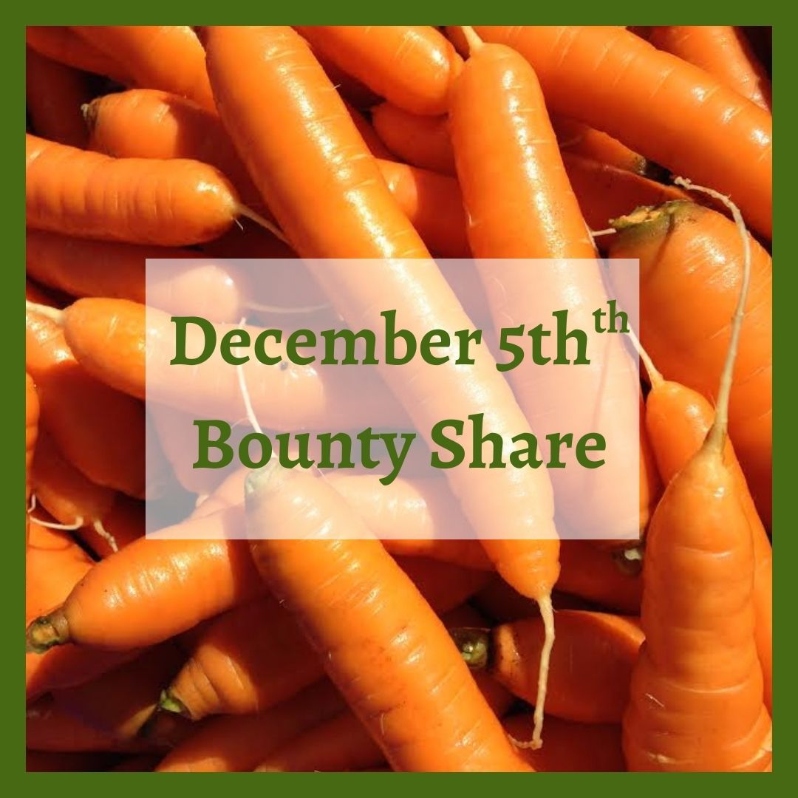 Product Description: Bounty Share | Saturday, December 5th</br></br>Pick up one CSA share offall and winter favorites. Pick up about 35lbs of produce and expect about 60% storage & root crops and 40% greens.</br></br>Our best guess of what you can expect to receive at this pick up-arugula, carrots, mixed greens, salad mix, KN bravo radish, kale, watermelon radish, lettuce, parsnips, potatoes, daikion radish, scallions, spinach, purple top turnip, salad turnip, winter squash.</br></br>Distribution Date:</br></br>Saturday, December 5th| 10am-2pm</br></br>Payment:We ask that full payment be made upon registration. Please contactana@communityfarms.orgif WFCF can support an alternate payment plan with you.</br></br>Membership:We require ALL CSA households to be members of WFCF. If you are splitting a share with another family or individual, please make sure all memberships are up to date at the time of registration. For questions about membership status emailhannah@communityfarms.org.View our membership page here.</br></br>CSA Cancellation Policy:If you would like to withdraw from the CSA at any time, a refund is contingent upon our ability to sell your reserved share. If a refund is given, a $35 administrative fee will be deducted. We cannot guarantee a refund, and are given at the discretion of WFCF. Please contact -ana@communityfarms.orgto inquire about registration cancellation.</br></br>If you can, please consider covering your transaction fees at check out</br></br>Why “Donor Covers Cost” is So Important</br></br>One of the fastest growing areas of expenses for our organizations are fees we incur for processing credit cards. In 2024, WFCF incurred more than $22,000 in credit card processing fees.</br></br>By covering the cost of your transaction today, you are helping us to meet our operating costs, and to remain focused on our mission of cultivating sustainable and equitable relationships between people, their food supply, and the land from which it grows. Thank you for doing so</br> December 5th Bounty Share